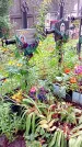 Захоронение ID 1293014