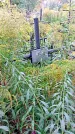 Захоронение ID 1293248