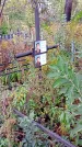 Захоронение ID 1293284