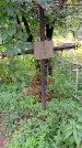 Захоронение ID 1293328