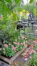 Захоронение ID 1293368