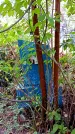 Захоронение ID 1293373