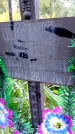 Захоронение ID 1293406