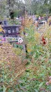 Захоронение ID 1293454