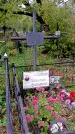 Захоронение ID 1293479
