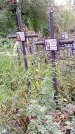 Захоронение ID 1293599