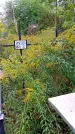 Захоронение ID 1293648