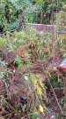 Захоронение ID 1293679