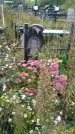 Захоронение ID 1293711