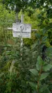 Захоронение ID 1293715