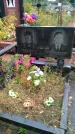 Захоронение ID 1293744