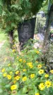 Захоронение ID 1293790