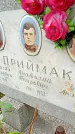 Захоронение ID 1293843