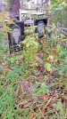 Захоронение ID 1293876