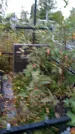 Захоронение ID 1293926