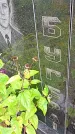 Захоронение ID 1294004