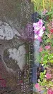 Захоронение ID 1294016