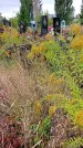 Захоронение ID 1294019