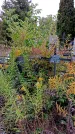 Захоронение ID 1294073