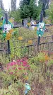 Захоронение ID 1294163