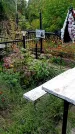 Захоронение ID 1294187