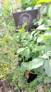 Захоронение ID 1294199
