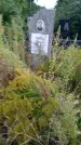 Захоронение ID 1294222