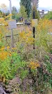 Захоронение ID 1294223