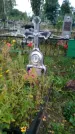 Захоронение ID 1294230