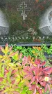 Захоронение ID 1294492
