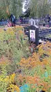 Захоронение ID 1294527