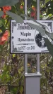 Захоронение ID 1294755