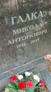 Захоронение ID 1294839