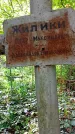 Захоронение ID 1294855