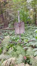 Захоронение ID 1294874
