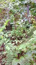 Захоронение ID 1294905