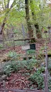 Захоронение ID 1295042