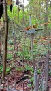 Захоронение ID 1295054