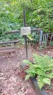 Захоронение ID 1295065