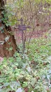 Захоронение ID 1295081