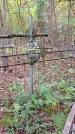 Захоронение ID 1295098