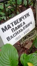 Захоронение ID 1295132