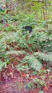 Захоронение ID 1295183