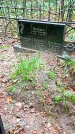 Захоронение ID 1295200