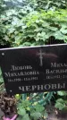 Захоронение ID 1295202
