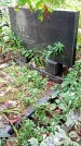 Захоронение ID 1295247
