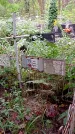 Захоронение ID 1295248