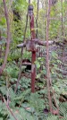 Захоронение ID 1295320