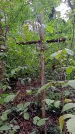 Захоронение ID 1295339