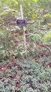 Захоронение ID 1295341